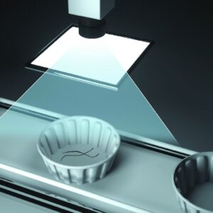 Inspection-for-foreign-substances-in-products Inspekcja obecności ciał obcych