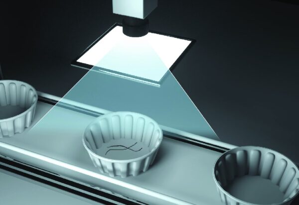 Inspection-for-foreign-substances-in-products Inspekcja obecności ciał obcych