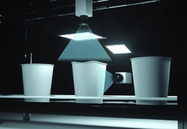 Inspection-for-packing-defects Inspekcja nieprawid艂owego pakowania